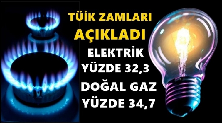 TÜİK: Elektrik yüzde 32,3 Doğal gaz 34,7