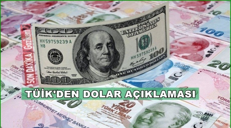 TÜİK'ten dolar açıklaması