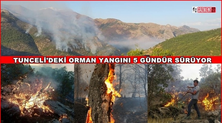 Tunceli'deki orman yangını sürüyor...