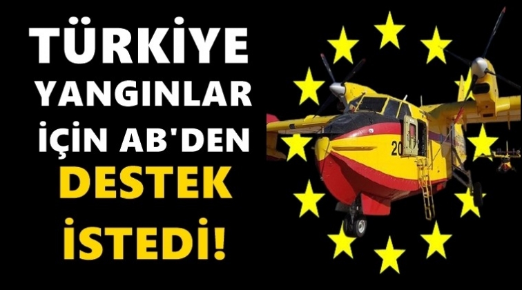 Türkiye Avrupa Birliği'nden destek talebinde bulundu!