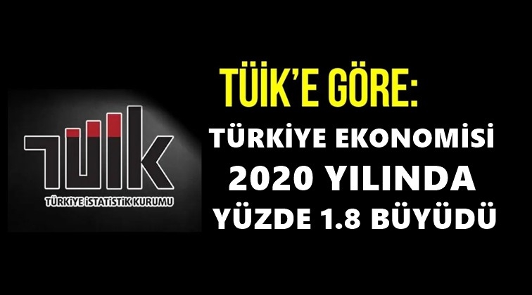 Türkiye ekonomisi 2020'de 1,8 büyüdü...