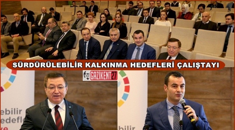 T&uuml;rkiye Haritalandırılması Pilot Projesi