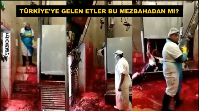 T&uuml;rkiye'ye gelen etler bu mezbahadan mı?