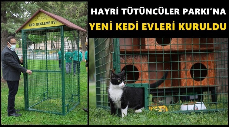 Tütüncüler Parkı’na yeni kedi evleri...