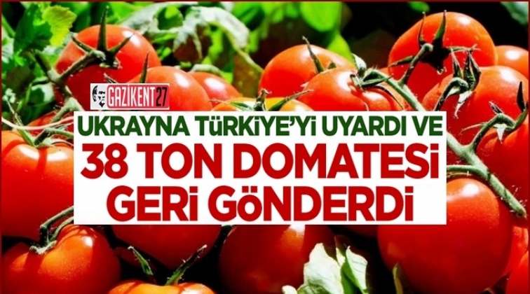 Ukrayna, 38 ton domatesi geri gönderdi