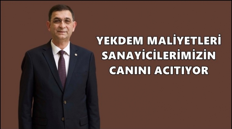 Ünverdi: Sanayicimizin canını acıtıyor