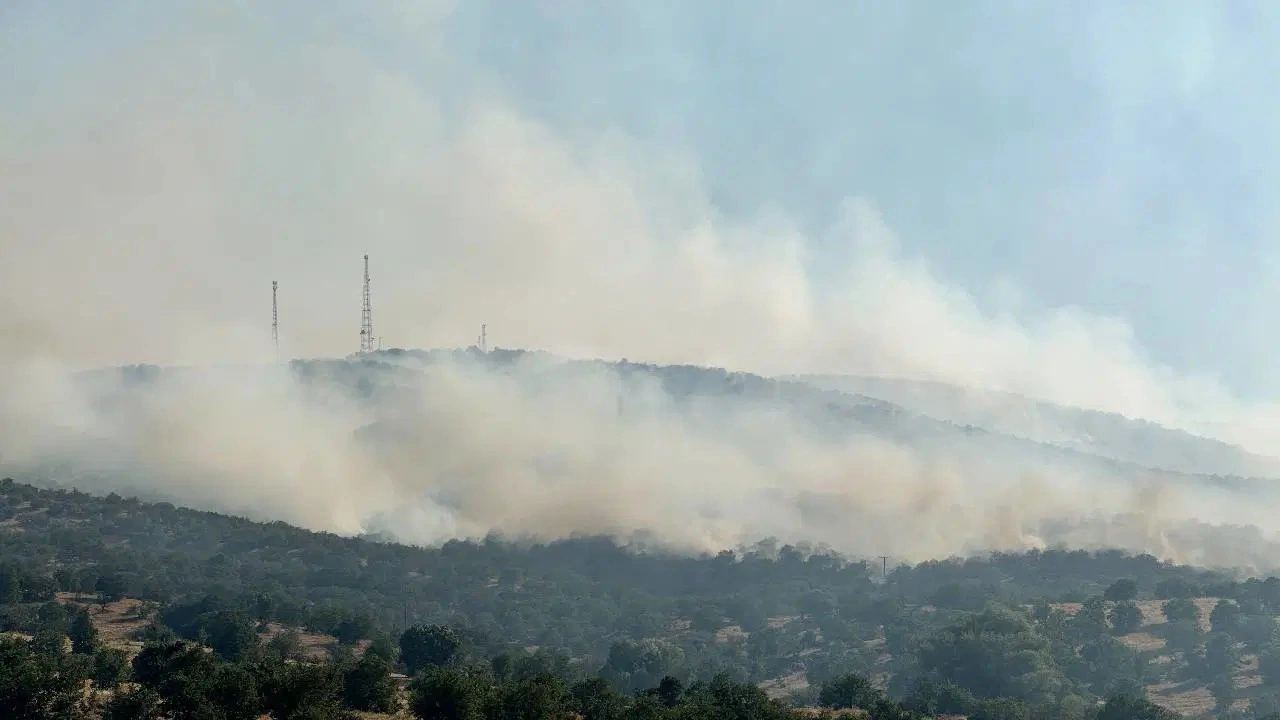 Uşak'ta orman yangınına neden olan iki kardeş hakkında karar verildi!