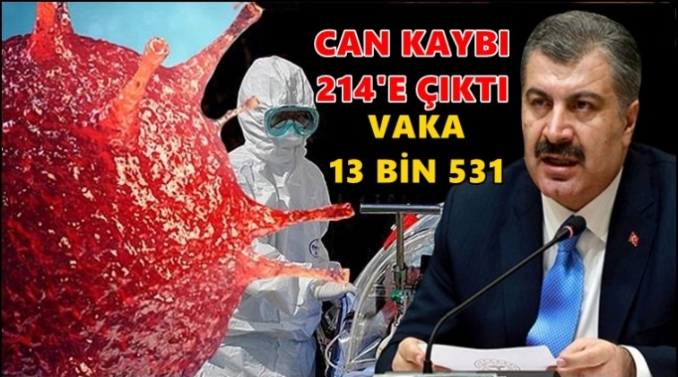 Vaka sayısı 13 bin 531, can kaybımız 214