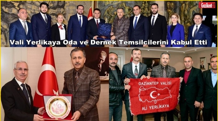 Vali Yerlikaya, Oda ve Dernek Temsilcilerini kabul etti