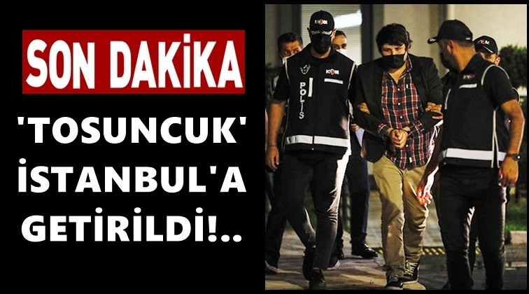 Ve 'Tosuncuk' İstanbul'da...