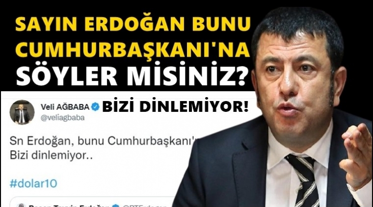 Veli Ağbaba: Bunu Cumhurbaşkanı'na söyler misiniz?