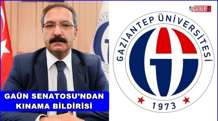 Yahudi Ulus Devleti Yasası'na tepki