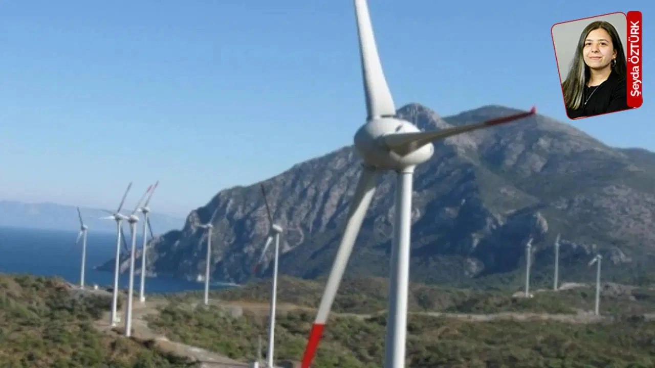 Yanan ormanlara otel yaptıkları yetmedi, enerjiyi de buradan üretecekler! Yeni düşman RES