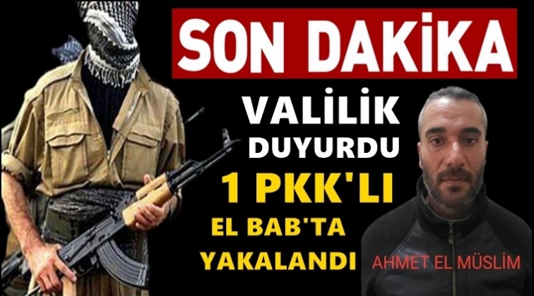 YPG/PKK üyesi El Bab'da yakalandı!