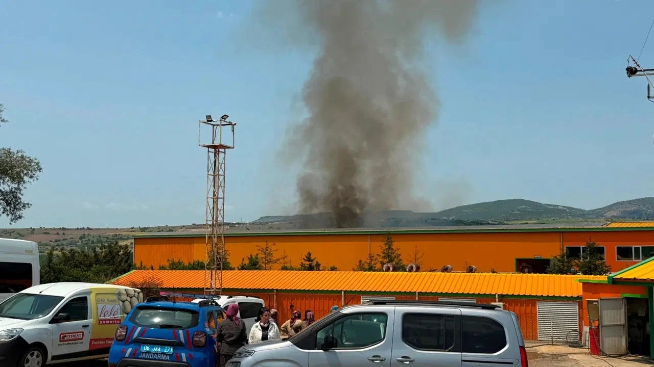 Yumurta tesisinde yangın: 150 bin tavuk öldü