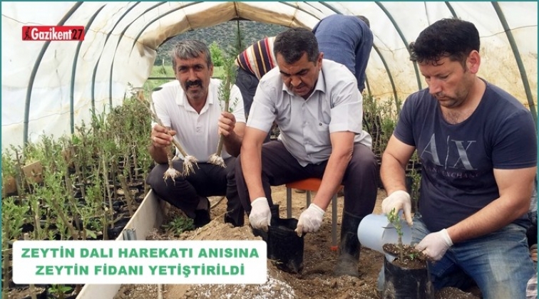 Zeytin Dalı Harekâtı anısına zeytin fidanı