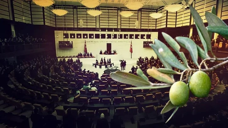 Zeytinlikleri ranta açan yasanın 18 maddesi kabul edildi!