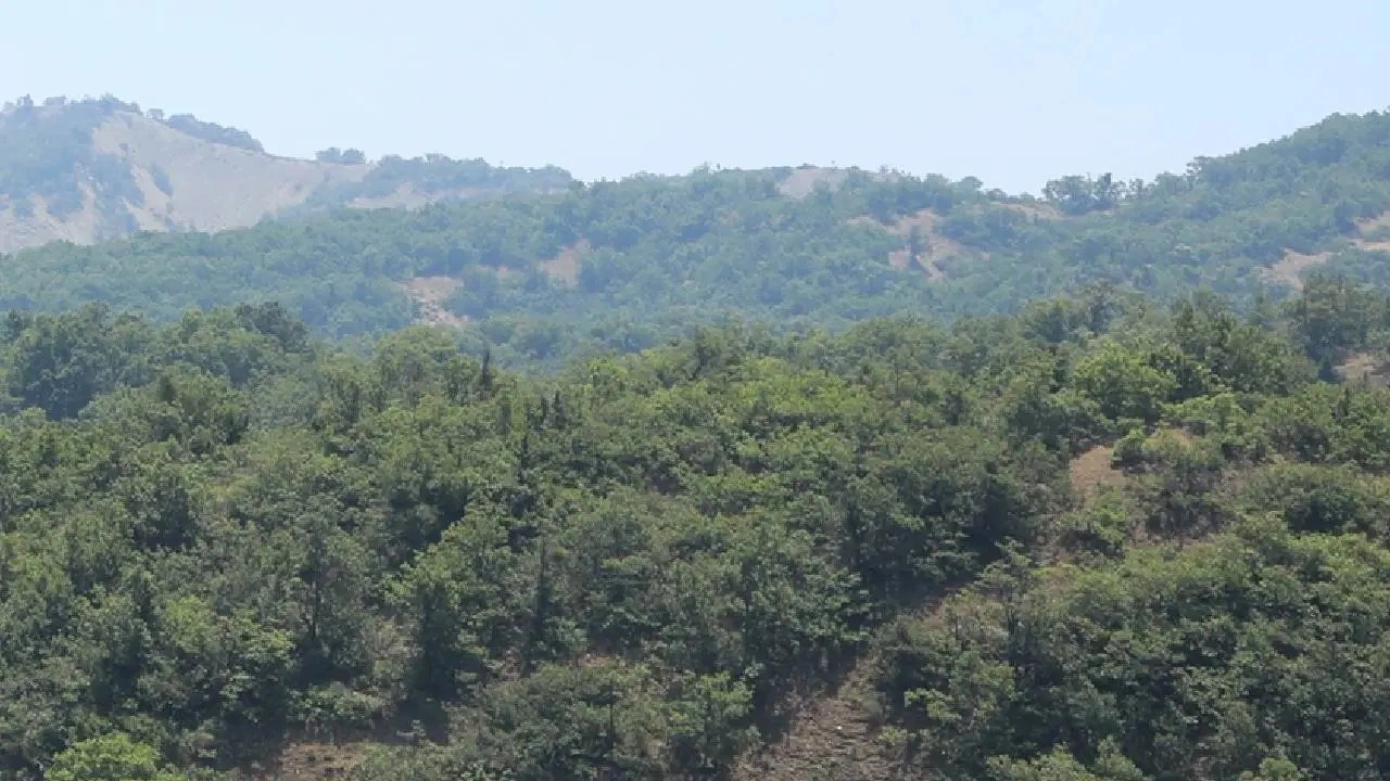 Zonguldak'ta 'ormanlık alan' kararı: 30 Eylül'e kadar girişler yasaklandı!