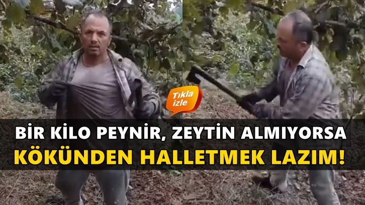 Fındık üreticisi işi kökünden halletti!