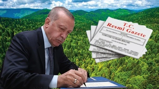 11 ilde 1 milyon 651 bin metrekare alan orman sınırları dışına &ccedil;ıkarıldı!