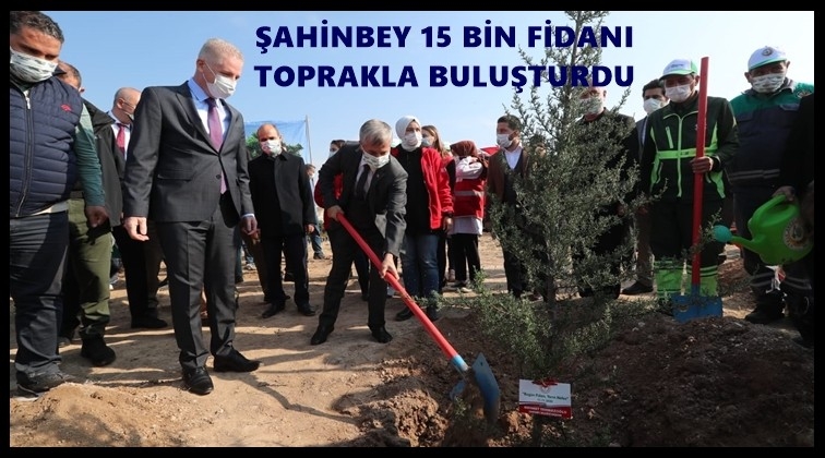 15 bin zeytin ve fıstık fidanı toprakla buluştu