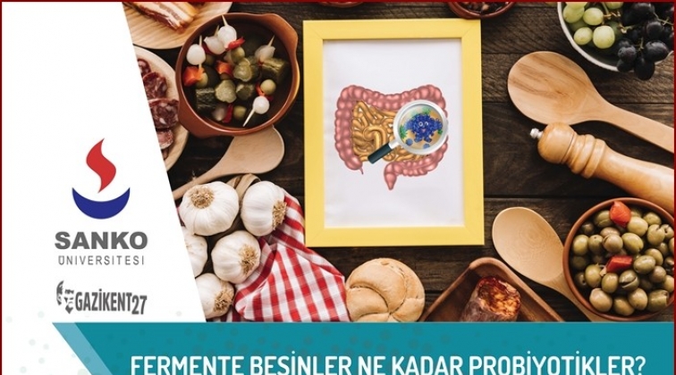 “Fermente Besinler Ne Kadar Probiyotikler?”