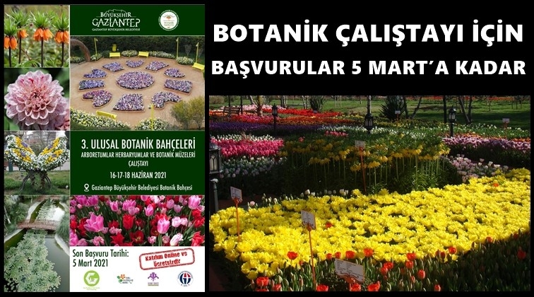Botanik M&uuml;zeleri &Ccedil;alıştayı