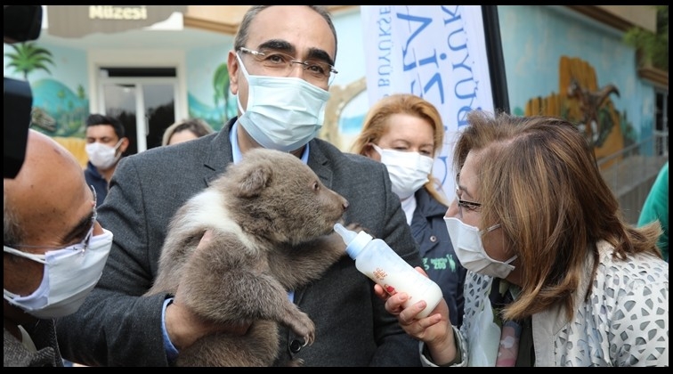 4 Nisan Sokak Hayvanları Koruma G&uuml;n&uuml;