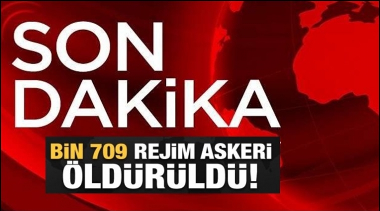 1709 rejim unsuru etkisiz hale getirildi!