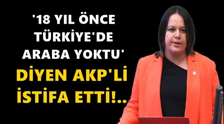 &ldquo;18 yıl &ouml;nce T&uuml;rkiye&rsquo;de araba yoktu&rdquo; istifası