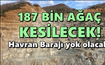 187 bin ağa&ccedil; kesilecek, baraj yok olacak!