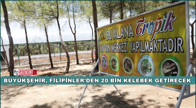 20 bin kelebek geliyor...