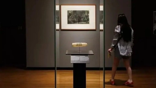 200 yıllık prezervatif müzede sergileniyor:  'Mükemmel durumda'