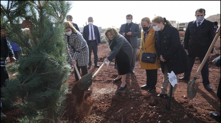 20’nci durak Fıstıklık Mahallesi oldu...