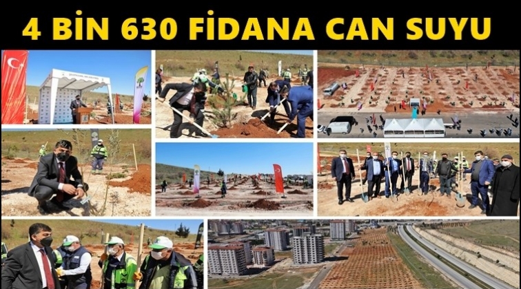 22. Etap Şehitkamil Ormanı oluşturuldu