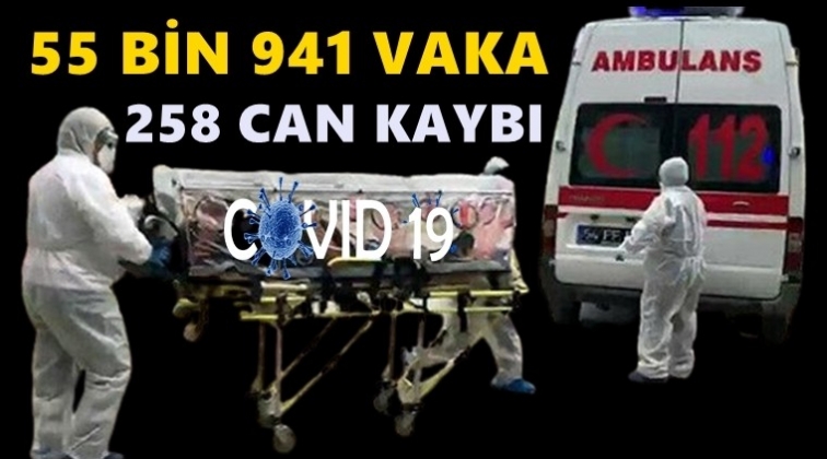 258 can kaybı 55 bin 941 yeni vaka!..