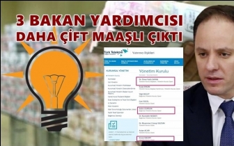 3 bakan yardımcısı daha &ccedil;ift maaşlı &ccedil;ıktı!