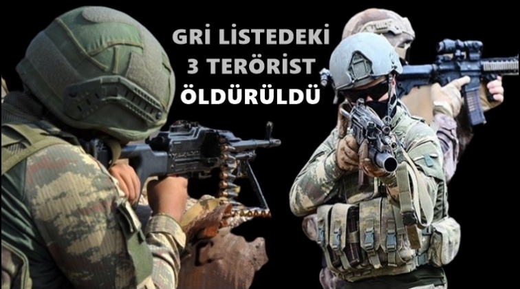 Gri listedeki 3 ter&ouml;rist &ouml;ld&uuml;r&uuml;ld&uuml;!
