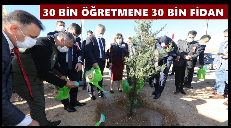 30 bin &ouml;ğretmen adına 30 bin fidan...