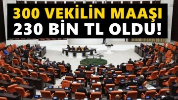 300 milletvekili 230 bin TL maaş alacak!