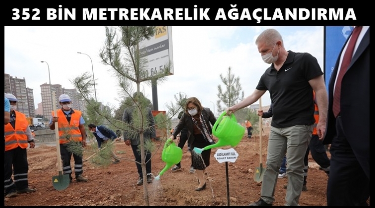 352 bin metrekarelik alan ağa&ccedil;landırılacak