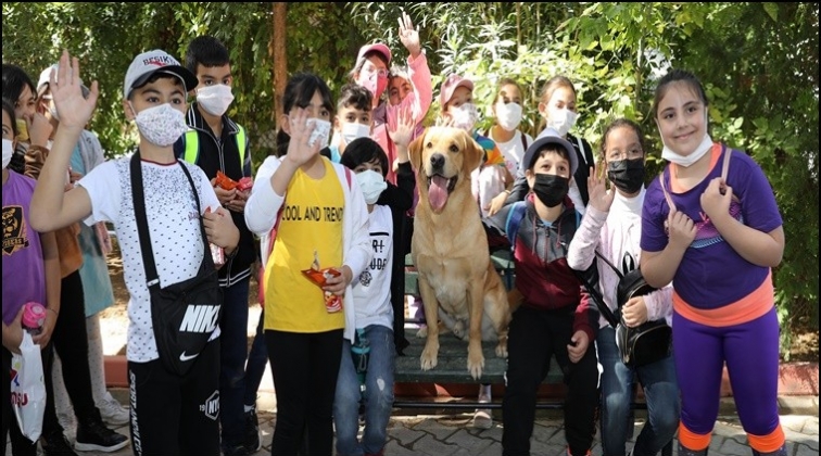 4 Ekim D&uuml;nya Hayvanları Koruma G&uuml;n&uuml;...