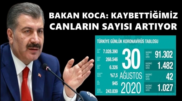 42 can kaybı bin 482 vaka var