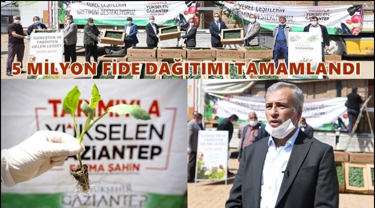 5 milyon fide dağıtımı tamamlandı