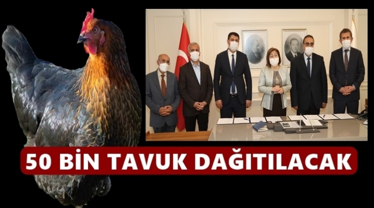50 bin &lsquo;atak-s yumurta tavuğu&rsquo; dağıtılacak