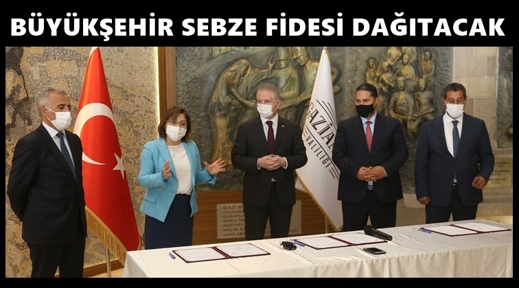 6 milyon 500 bin sebze fidesi dağıtılacak!