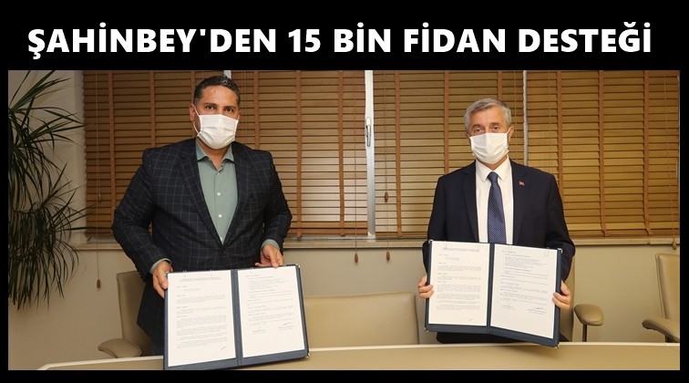 650 dekarlık orman alanı oluşturulacak...