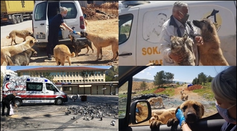 A&ccedil; kalan sokak hayvanlarını beslediler