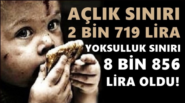 A&ccedil;lık 2 bin 719, yoksulluk sınırı 8 bin 856 lira