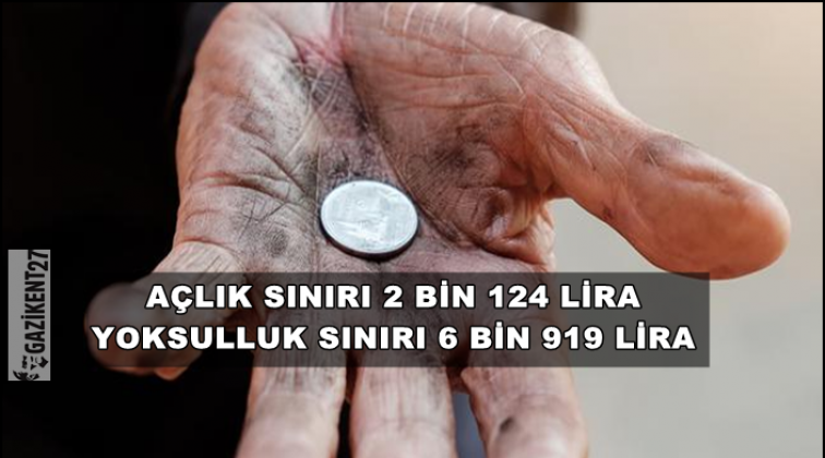 Açlık sınırı 2 bin 124, yoksulluk sınırı 6 bin 919 lira oldu